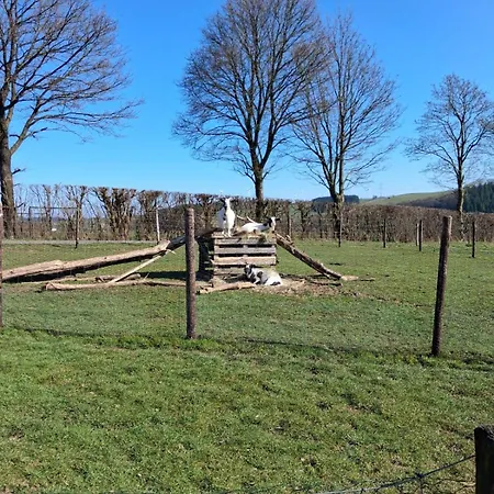 Wirtz * Olzheim